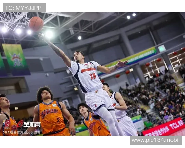 本届CBA杯四强：山东vs上海，山西vs广厦，每队可获70万元